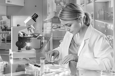 Image link to Pharmaceutical Industry