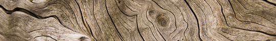 WoodStrip